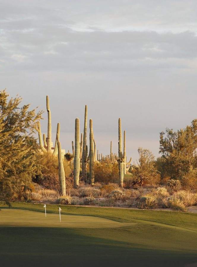 Desert Golf — photo by Marina Ponomaryova