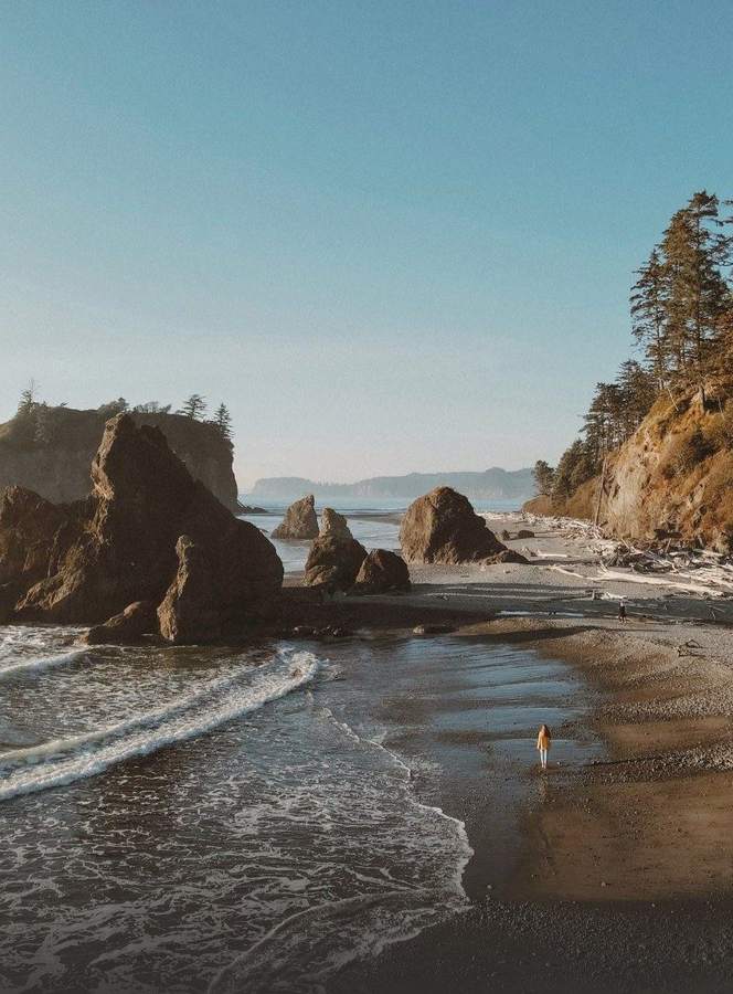Pacific Northwest Coast — photo by Marina Ponomaryova