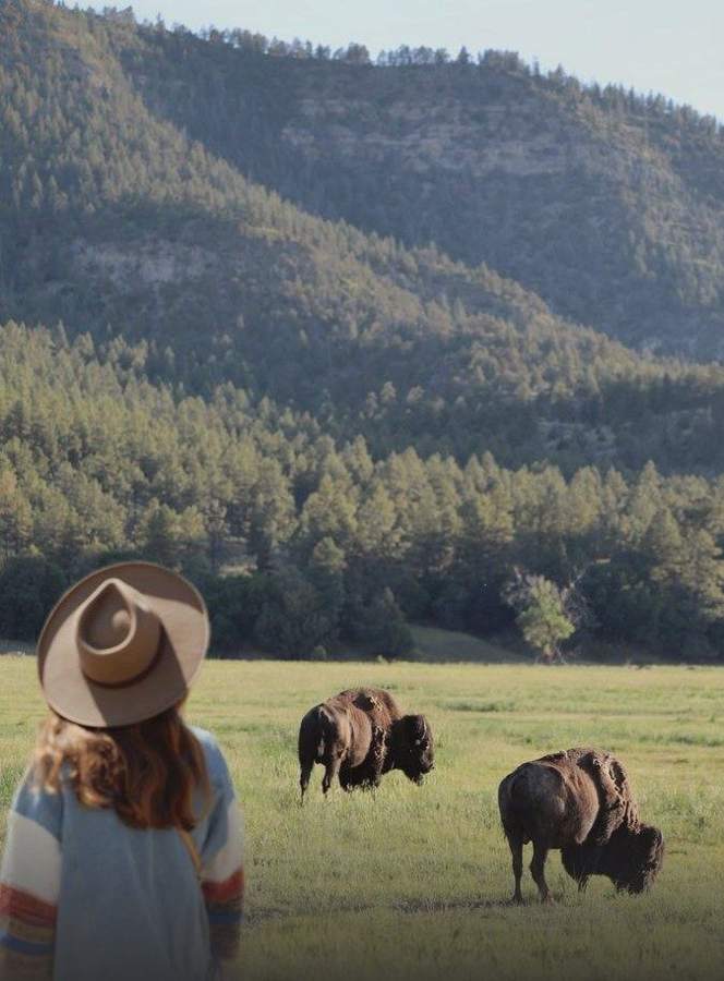 Among The Bison — photo by Marina Ponomaryova