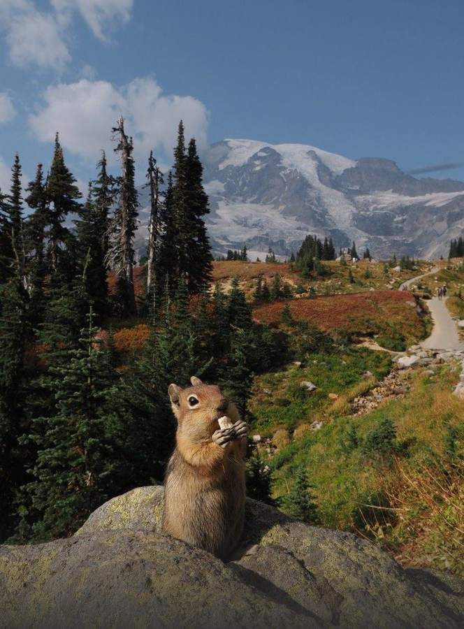 Mount Rainier National Park, Washington — photo by Marina Ponomaryova