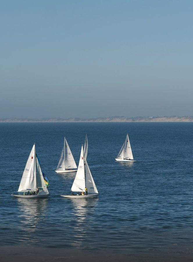 Regatta — photo by Marina Ponomaryova